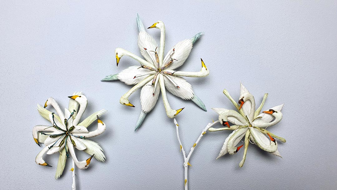 Aquatic Plant Herbarium 2020