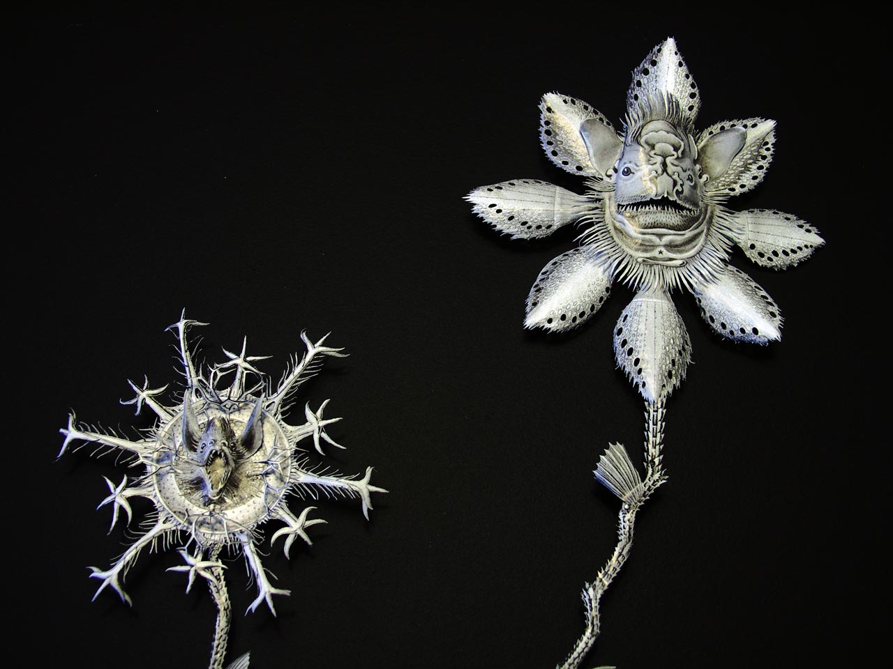 Deep Sea Fossils 2016