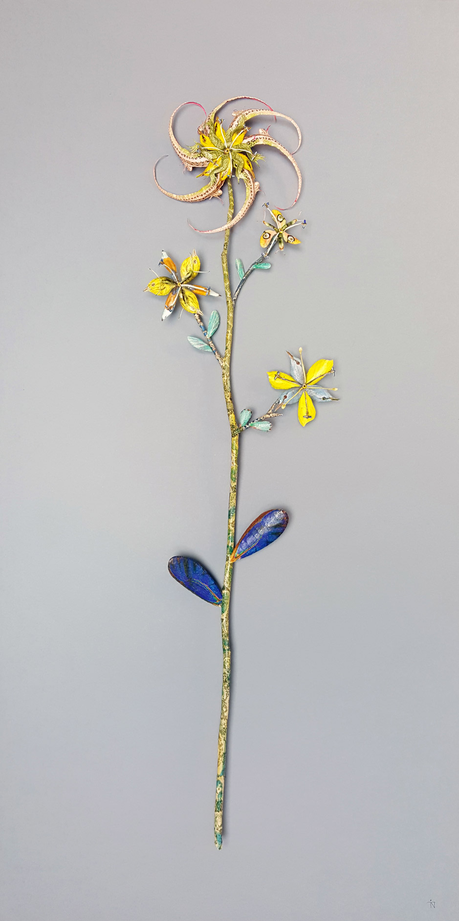 Frostflowers 2017-19